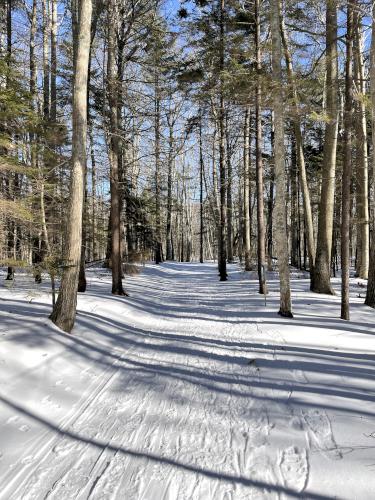 trail in February at Wells Reserve at Laudholm in southern Maine