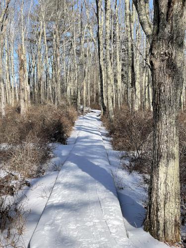 trail in February at Wells Reserve at Laudholm in southern Maine