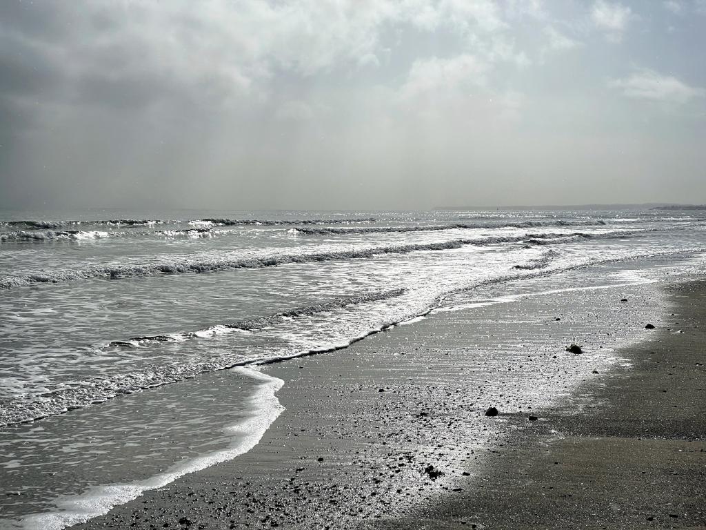 shore view in February at Wells Reserve at Laudholm in southern Maine