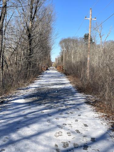 Danvers-Wenham Rail Trail in February near Grand Wenham Canal Path in northeast MA