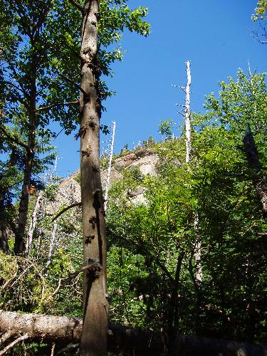 cliff on the bushwhack to West Osceola in New Hampshire