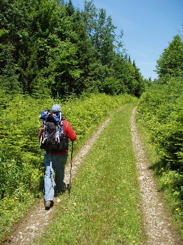 bushwhacker on the access road to White Cap Mountain in Maine