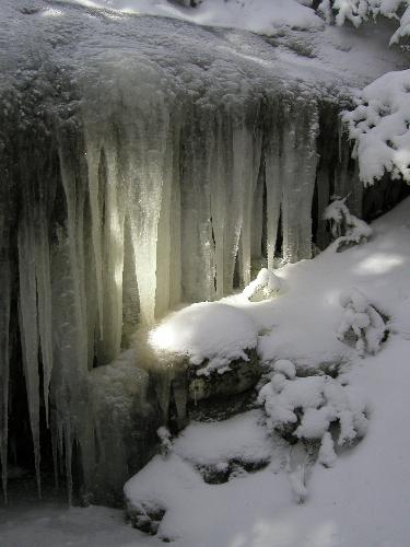 icicles