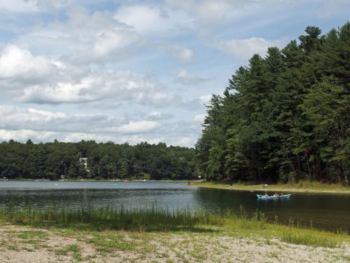 playing on White Pond in July at White Pond Reservation in eastern Massachusetts