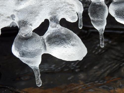 creative brook ice on the bushwhack to Mount Whittier in New Hamsphrie