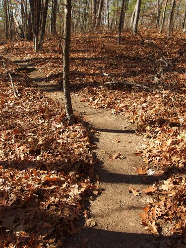 mountain bike trail on Whortleberry Hill in northeastern Massachusetts