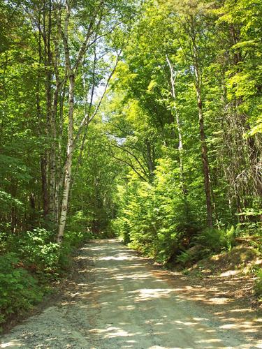 Pike Hill Road leading up to Big Wilcox Hill in southwestern New Hampshire