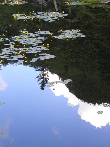 reflection of Wildcat Mountain on Carter Lake in New Hampshire