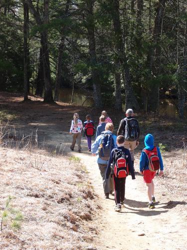 a group of hikers headed into the woods on the way to Wildcat Falls in southern New Hampshire