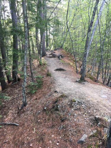 trail in May at Wildcat Falls near Merrimack in southern New Hampshire