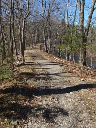 trail at Willowdale State Forest in northeastern Massachusetts