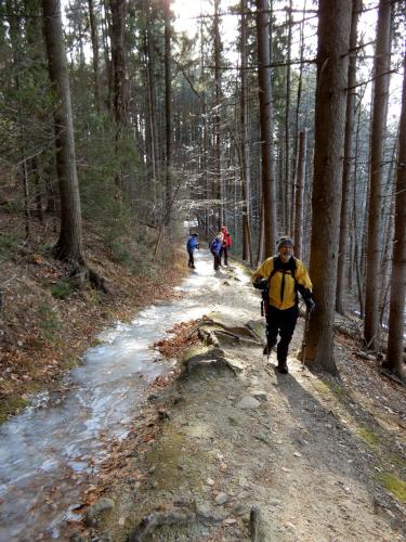 icy trail at Winnekenni Park in northeastern Massachusetts