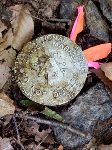 Appalachian Trail boundary marker on the way to Winslow Ledge in New Hampshire