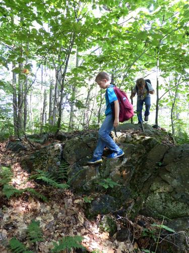 young hiker on a bushwhack to Winslow Ledge in New Hampshire