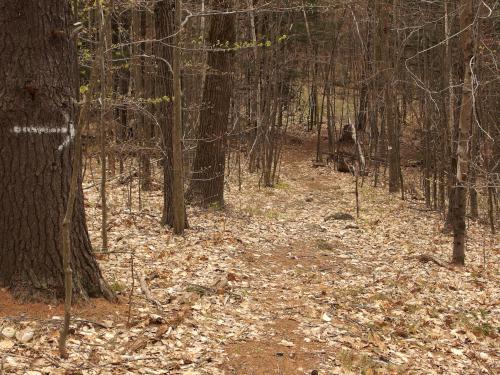 trail at Wolf Hill near Deering in southern New Hampshire