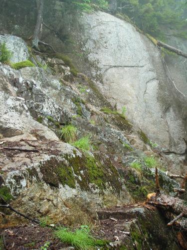 steep section of the Walden Trail to Wonalancet Hedgehog in New Hampshire