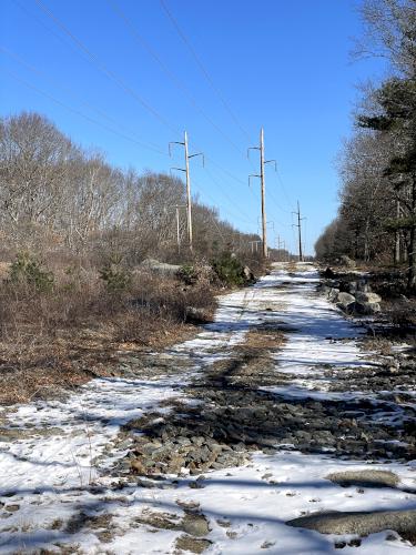 powerline swath in February at Wood Hill in northeast MA