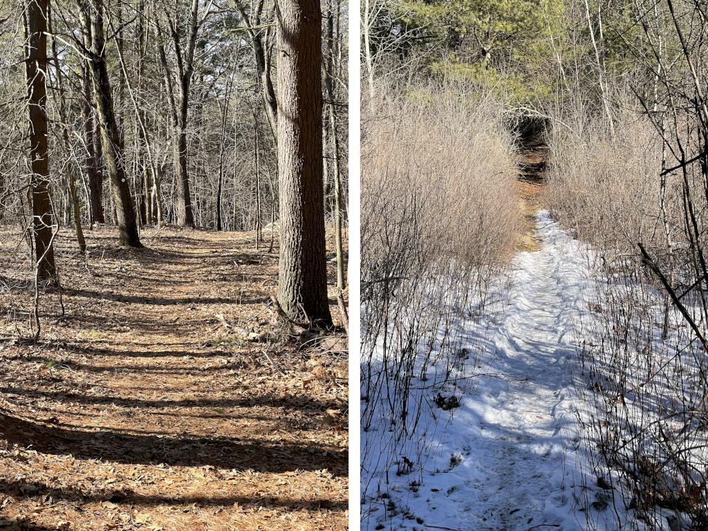 trails in February at Wood Hill in northeast MA