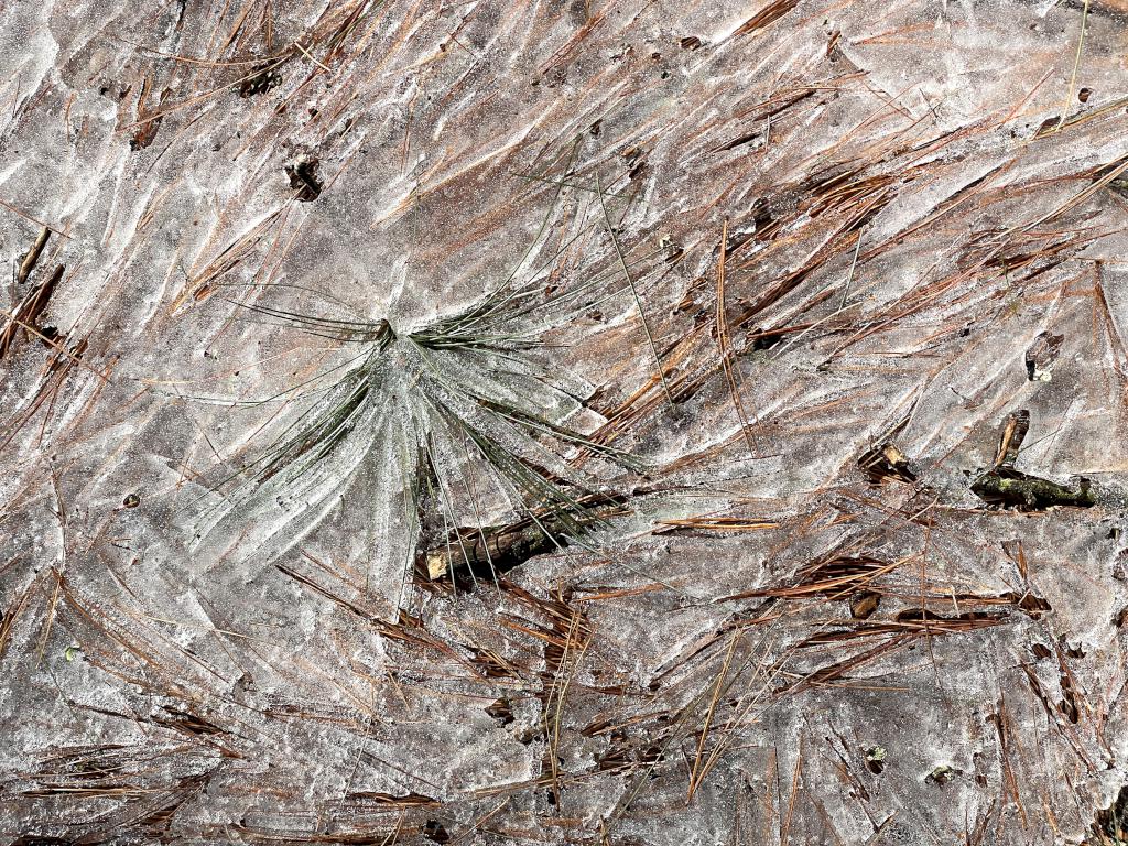 ice art in February at Woodchuck Trail in northeast MA