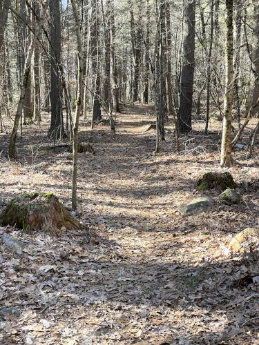 trail in February at Woodchuck Trail in northeast MA