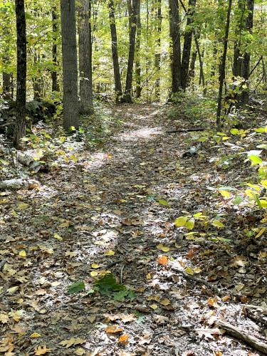 trail in October at Woodlock Trail in southern NH