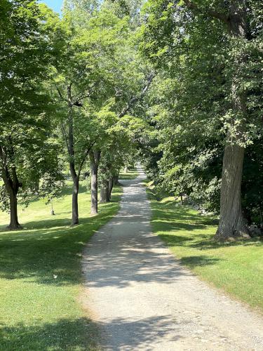 trail in July at World's End in eastern Massachusetts