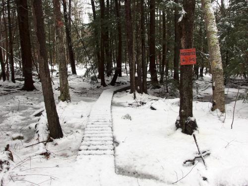 footbridge on the trail to Worthley Hill in New Hampshire