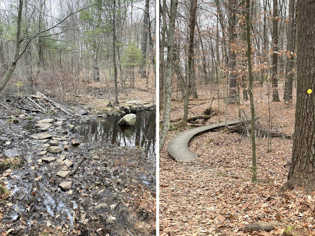 trails in December at Yapp Conservation Land in northeast Massachusetts