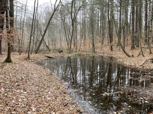 Farm Pond in December at Yapp Conservation Land in northeast Massachusetts