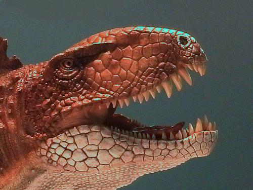 Grant checks out a Fin-back Lizard (Dimetrodon) at the Houston Museum of Natural History in Texas