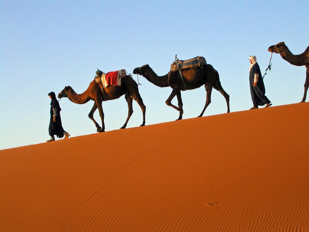 camel train in the Sahara Desert of Morocco