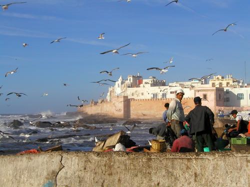 Essaouria in Morroco