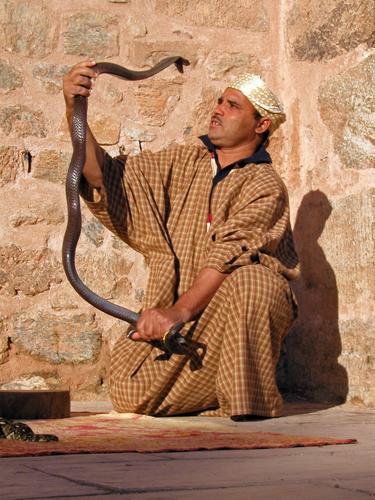 snake charmer in Morroco