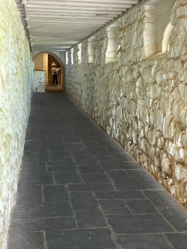 cellar in May at Monticello in Virginia