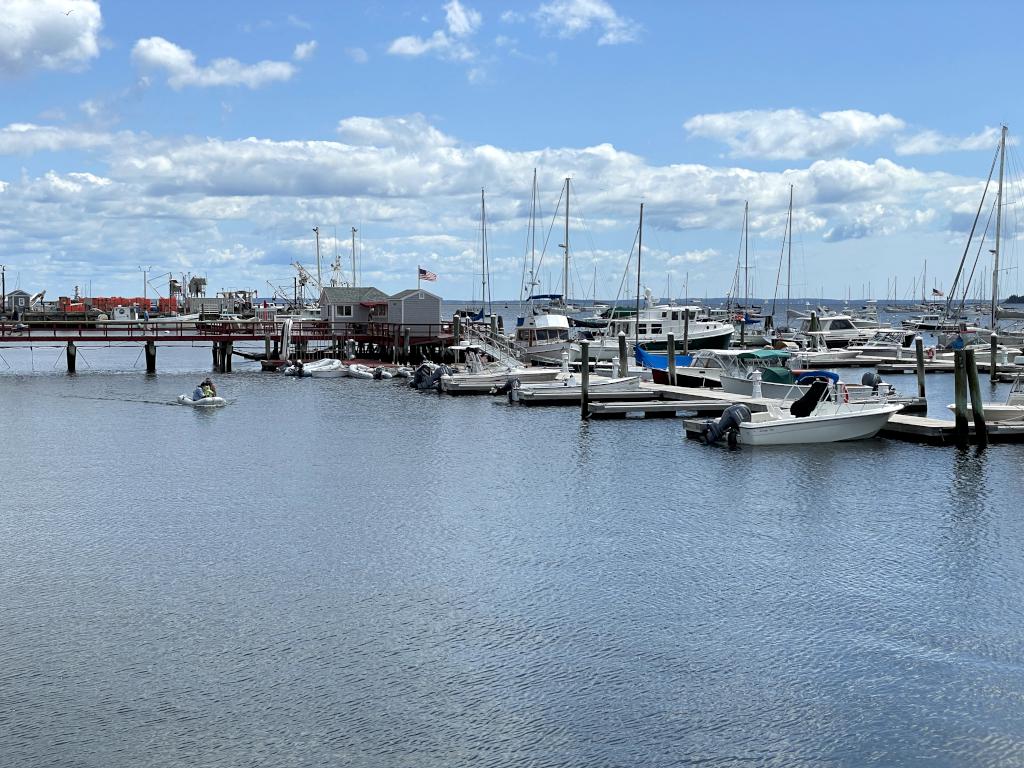 harbor in August at Rockland, Maine