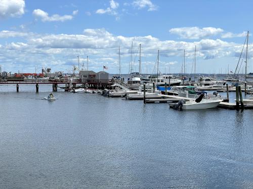 harbor in August at Rockland Maine