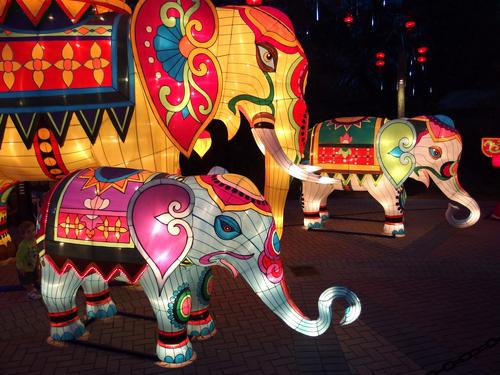 elephants included in the Zoominations special exhibit at Lowry Park Zoo in Tampa, Florida