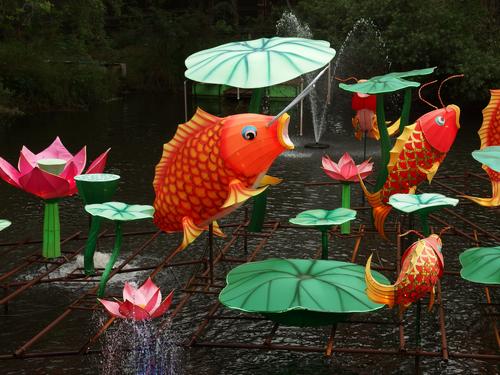 fish pond included in the Zoominations special exhibit at Lowry Park Zoo in Tampa, Florida