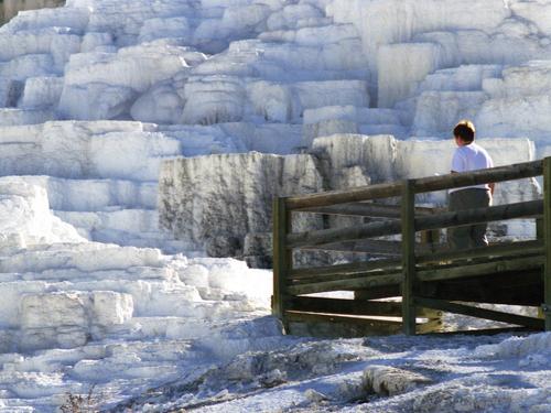 snow-white mineral deposits at Minerva Springs at Yellowstone National Park, Wyoming